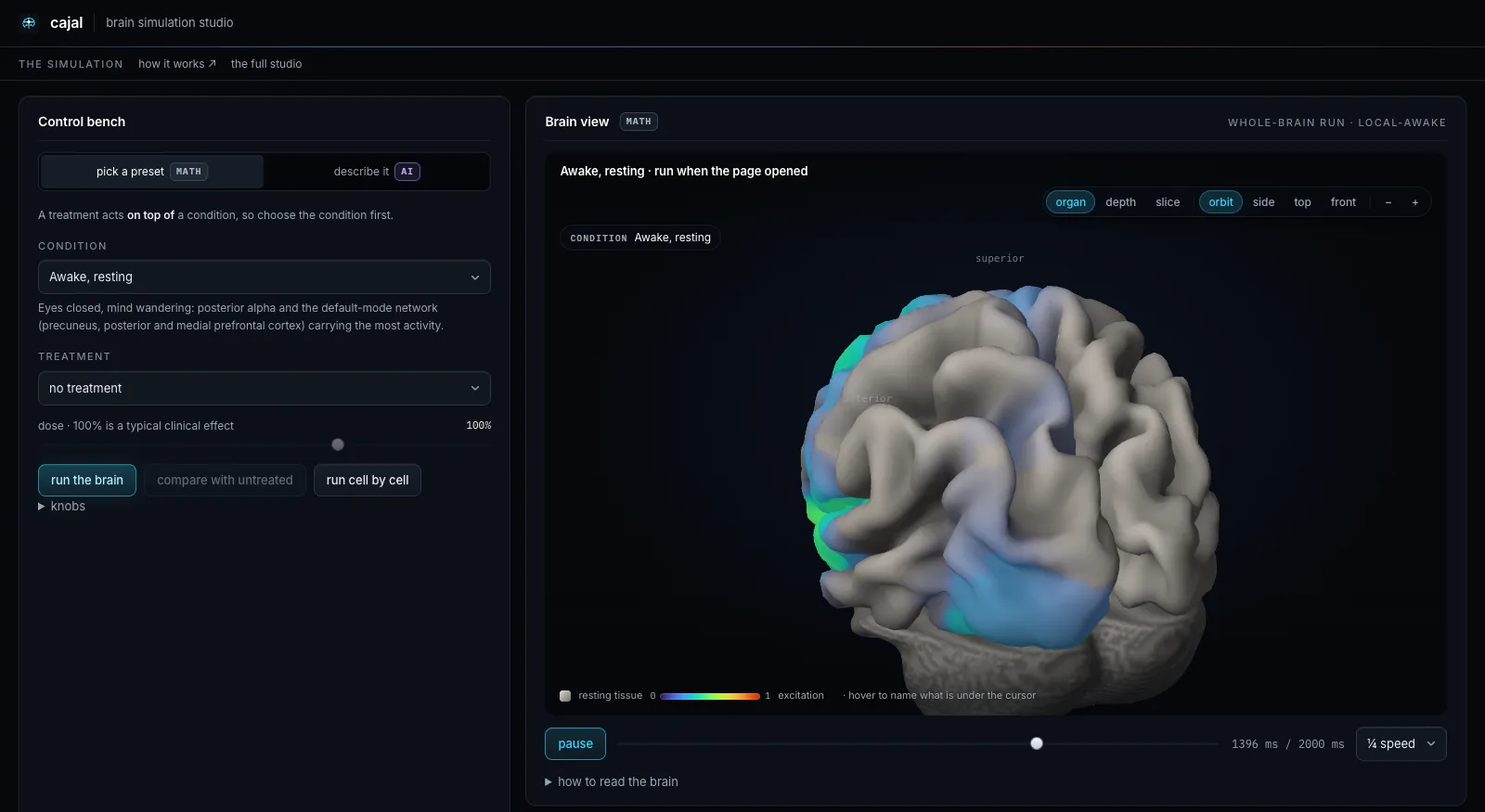 Cajal’s simulation page shows a left control bench set to Awake, resting, and a rendered brain on the right with cortical regions lit blue and cyan during simulation.